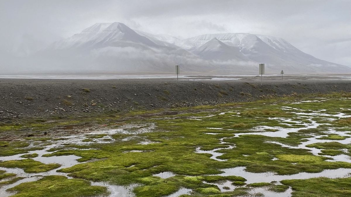 Fotky: Příroda si vzala zpátky arktický důl